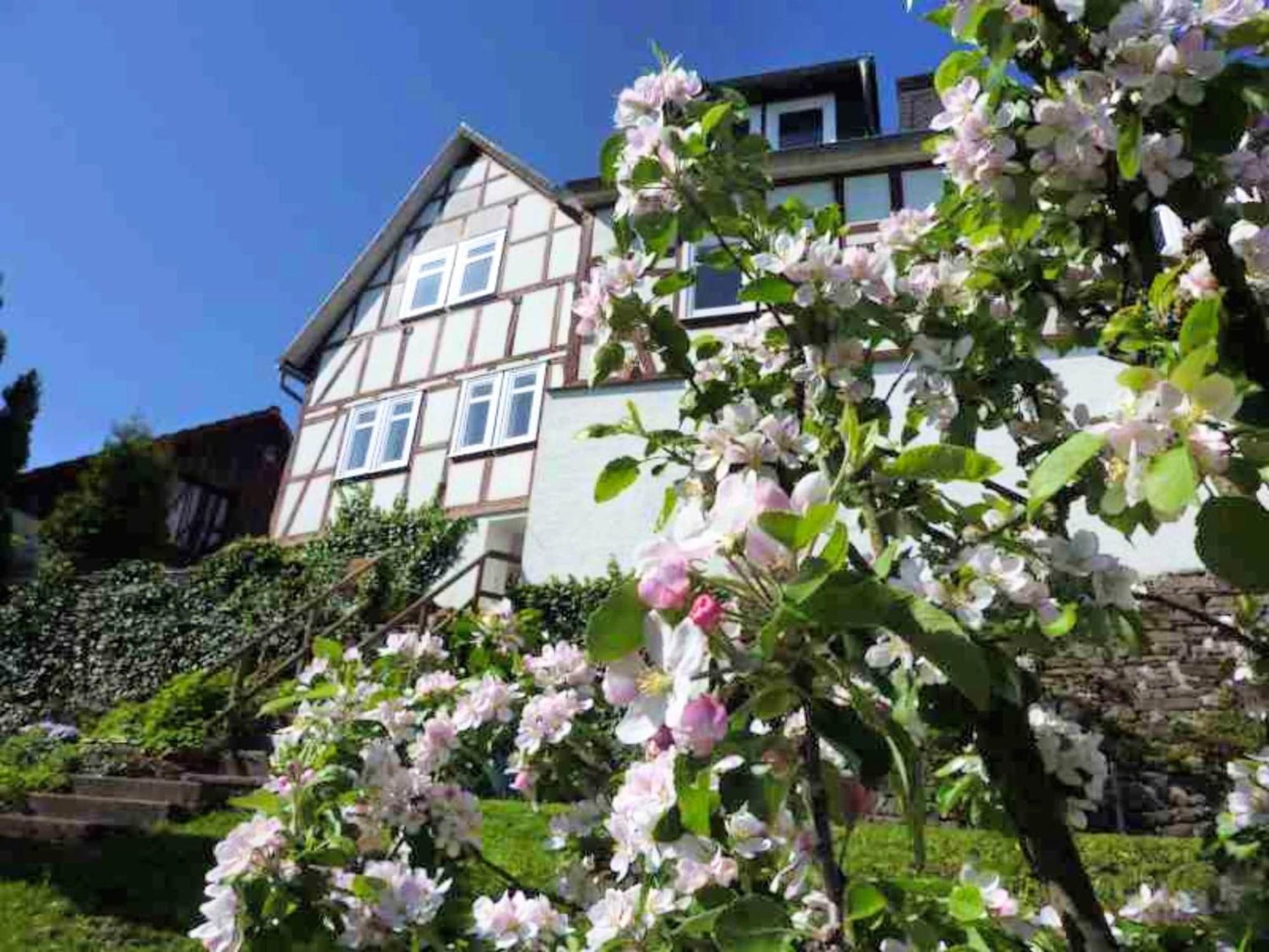 Delightful Holiday Home In Battenberg Near Forest Exteriör bild